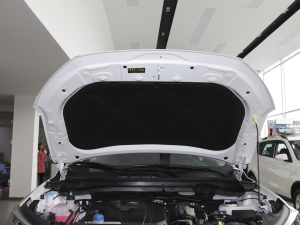 2021款1.5T 自动尊享型 其它