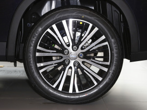 20211.5T քӺA (x)(ji)^