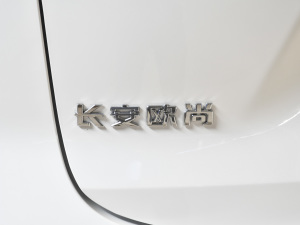 2021款1.5T 人脸识别全自动泊车太空逍遥版 细节外观
