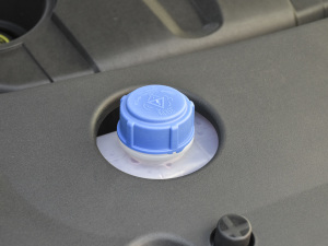 20211.5T ĘReȫԄӲ܇̫b 