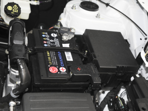 2021款1.5T 自动豪华型 其它