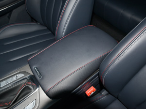 20211.5T Ԅ(dng)Geeker 