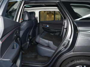 20211.5T Ԅ(dng)Geeker ηŵ