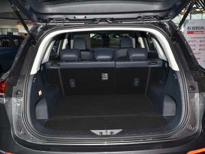 20211.5T Ԅ(dng)Geeker g