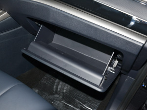 20211.5T Ԅ(dng)Geeker 