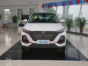 2022款1.5T 蓝鲸版自动尊享型 正前