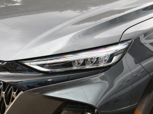 20221.5T {LԄGeekerŞ ^