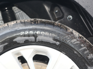 20221.5T {LԄӺA ݆̥ߴ