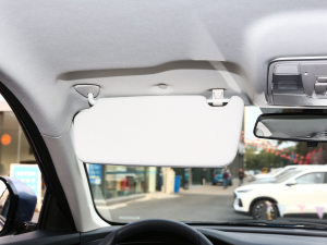 20221.5T {LԄӺA ꖰ壨