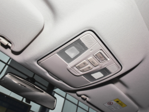 20221.5T {LԄӼt п؅^