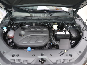 20221.5T {LԄ 7 lәC