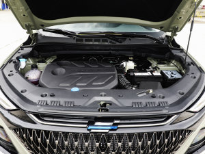 20221.5T ԄӘΰ 7 lәC