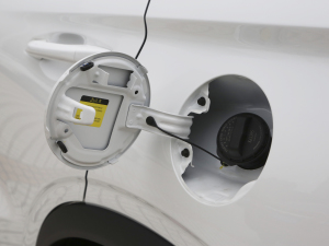 2022\Ӱ 1.5T DCTZLٰ w