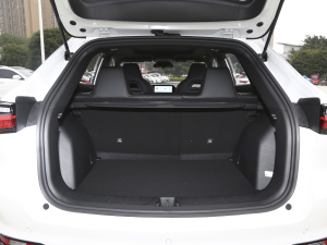 2022\Ӱ 1.5T DCTZLٰ g