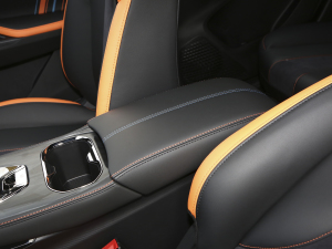 2022款运动版 1.5T DCT旋风冲锋版 中央扶手箱