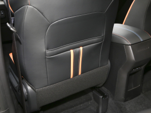 2022\(yn)(dng) 1.5T DCTL(fng)_h g