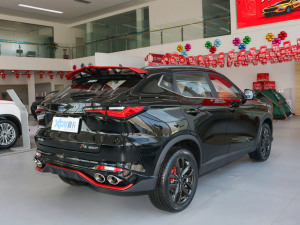 2022款1.5T DCT虎啸限定版 右后45度