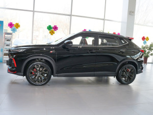 2022款1.5T DCT虎啸限定版 正侧（左）