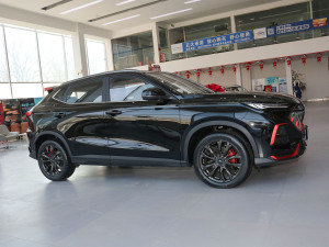 2022款1.5T DCT虎啸限定版 正侧（右）