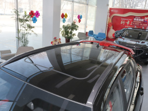 2022款1.5T DCT虎啸限定版 车顶