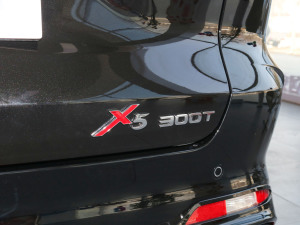 2022款1.5T DCT虎啸限定版 细节外观