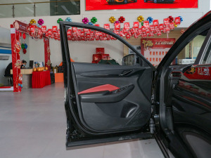 2022款1.5T DCT虎啸限定版 驾驶位车门