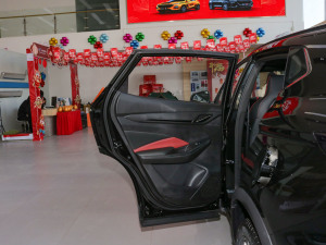2022款1.5T DCT虎啸限定版 左后车门