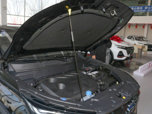 2022款1.5T DCT虎啸限定版 其它