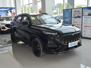 20221.5T DCTbͰ ǰ45