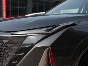 2022{L 1.5T DCTI(lng) 