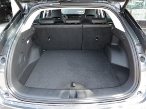 2022{L 1.5T DCTI(lng) g