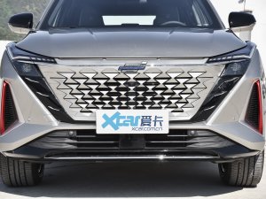 2022款蓝鲸 1.5T DCT智领型城市版 中网