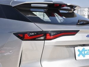2022款蓝鲸 1.5T DCT智领型城市版 尾灯