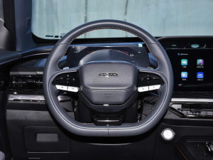2022款蓝鲸 1.5T DCT智领型城市版 方向盘