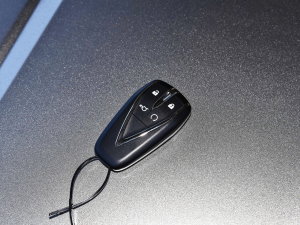 2022款蓝鲸 1.5T DCT智领型城市版 车钥匙