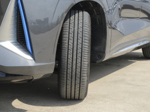 2022{(ln)LiDD 150KMŞ (x)(ji)^