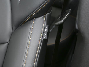 2023Ŀ 1.5T DCTh п؅^