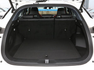 2023{(ln)L 2.0T Ԅ(dng)h(yun) g