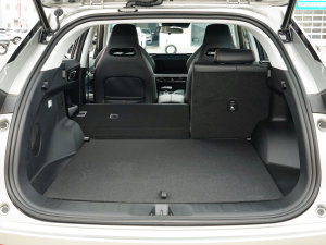 2023{L 1.5T DCTI(lng) g