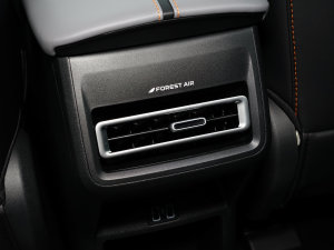 2023{L 1.5T DCTI п؅^