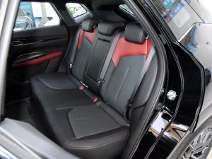 2023款蓝鲸 1.5T DCT智酷型 后排座椅