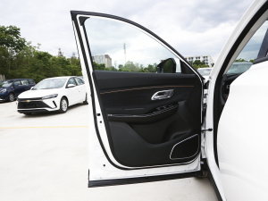2023款畅享版 1.5T自动智享型 驾驶位车门
