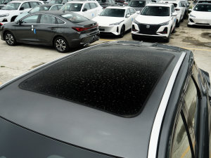 2023款智电iDD 150KM旗舰型PLUS智慧泊车版 车顶