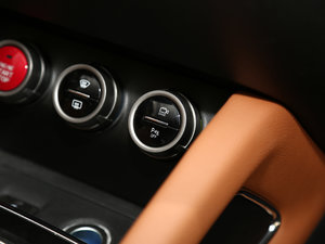 2017CX70T  1.5T Ԅ g