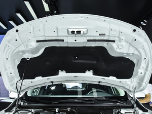 2019ʮfsҫ 1.6L XE ք(dng) VI 