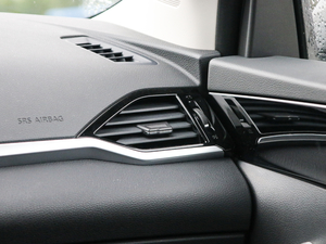 2019����m�������� ���g����