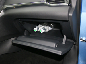 2019����m�������� ���g����