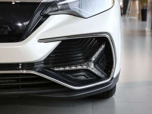 2019����m�������� �������^