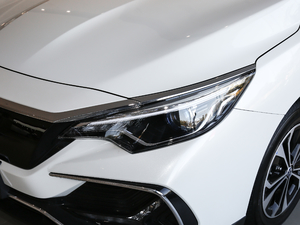 2019����m�������� �������^