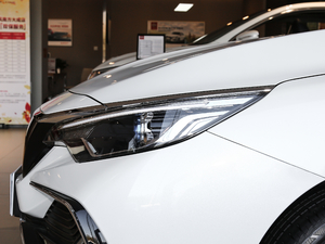 2019����m�������� �������^